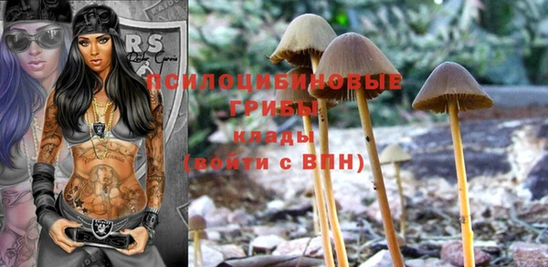 герыч Кодинск