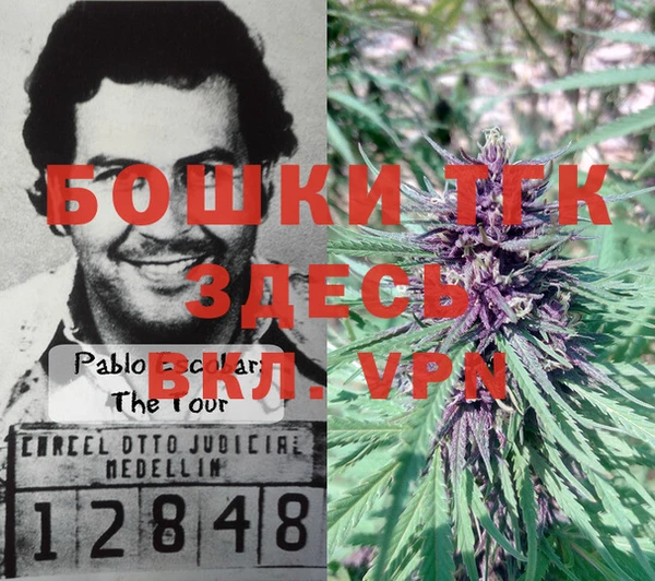 СК Кинешма