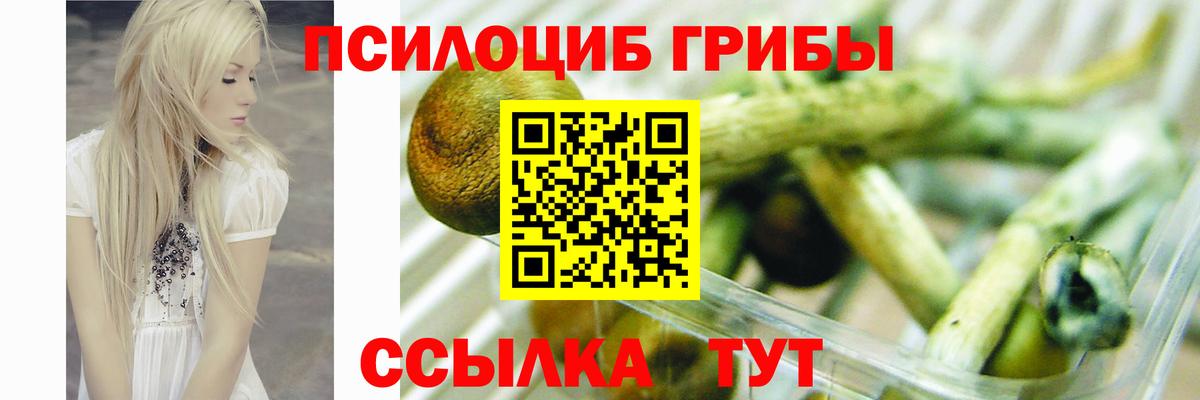 Галлюциногенные грибы Psilocybine cubensis Новый Уренгой